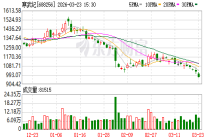 寒武纪早盘震荡下挫跌超2%，股价失守1000元