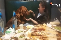 媒体评女子用烧烤签给狗撸串 店主道歉并停业整顿