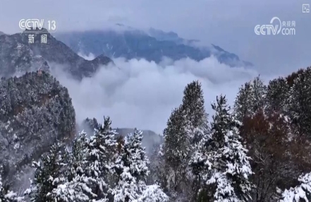 
                    寒潮频繁出现冷冬就要来？小雪和寒潮是固定搭配？科普→
               