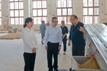 此前被传失联的王莉现身茅台说明会 回归岗位参与调研