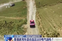 国产103号赛级汽油来了 填补高性能燃油空白