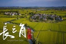 清明假期哪最火 南京跃居热门榜首