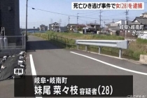 日媒：一日本女子开车撞死一美国籍男子，被指控肇事逃逸 嫌疑人已被逮捕