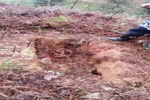 村民清代祖先坟墓疑遭盗墓 警方介入 家族尊严受损