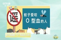 一群人里蚊子为什么总叮你 揭秘“招蚊体质”