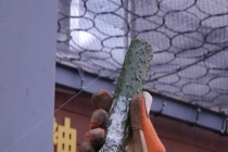 警惕风筝线暗藏的切割危险 隐形杀手不容小觑