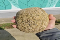 平平无奇压锅石何以引万千网友共情 情感连接的力量