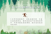 蛇类活跃期遇到蛇该怎么办？户外防蛇安全提示
