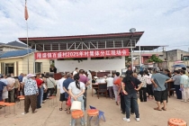 一村庄526亩荒地变“聚宝盆” 从撂荒地到示范田