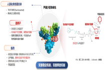 OptiTROP-Lung05研究全球首个证实“免疫+ADC”优于免疫单药 | 熊安稳教授：芦康沙妥珠单抗联合IO有望改写晚期NSCLC一线治疗格局