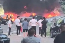 老人点燃杨絮 20辆新能源车被烧毁 杨絮火灾引发警示