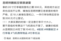 为什么20寸箱子上飞机得付费？