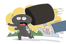 供出“梅姨”的张维平已被执行死刑 关键人物落网