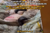 租客住4年留下满屋垃圾失联 房东花500元都找不到保洁