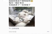 宠物险广告现“女性私密部位” 涉事公司回应