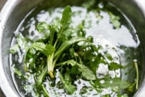 清明食品安全“四要四不要” 守护健康假期