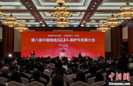 
                    专家学者谈AI时代如何保护网络版权
               