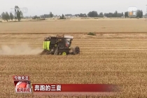 河南给田地装上“数字大脑” 科技助力麦收高效推进
