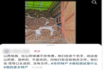 货车拉山药苗不能走绿通 司机有异议 山药苗不在免费范围