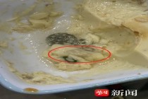 老乡鸡蒸蛋“带花纹”，疑因餐具图案掉色所致，老乡鸡相关负责人：旧餐具已停用送检，并将追查上游供应商责任
