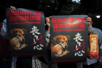 山姆打包哥被指领养猫狗后虐待 警方回应