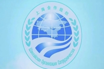 这个朋友圈,为何是世界的刚需 团结协作引领未来
