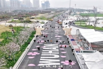 武汉马拉松含樱量极高 樱花盛景迎跑者