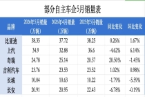 奇瑞七成外销、比亚迪四成出口……车企集体押注海外