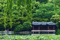 杭州最近天气为何如此紊乱 晴热交替登场