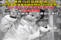贵州5岁女童遭马拖拽身亡 林场曾因养马异味劝解马主