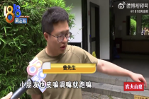 两岁孩子跑出厕所被观光车撞伤 家长希望提个醒