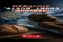 科学家从木乃伊体内产出新成果 古酵母烘焙酸面包