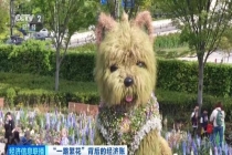 潦草小狗带火20亿元商圈 花卉节催热新业态