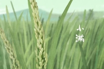 今日小满 夏日初显万物长