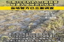 4.3亩蒜苗地被偷喷农药后枯死 恶行引发众怒