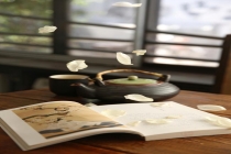 媒体：贾浅浅不应再沉默 文坛特权与学术伦理争议