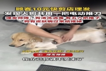 曝10元快剪理发店人犬共用推刀 特殊情况引发争议