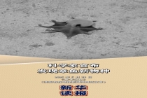 科学家宣布发现章鱼新物种 蓝色小精灵现身