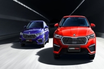 大众斯柯达品牌今年将退出中国市场 聚焦高增长市场调整