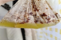 雪糕是糖油混合物 一支堪比一碗饭 解暑佳品or热量炸弹？