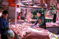 生猪价格降至近20年低位 养殖户亏损严重