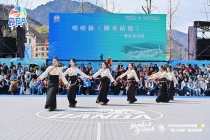 春日经济持续升温，“赏花+观赛”推动文旅“破圈”