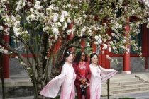 宋庆龄故居西府海棠盛放 春日京城动人景致