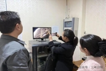 法院判了：全体业主赔偿陈女士1元 高空抛物引发的警示