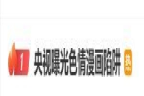 孩子陷色情漫画网站 深夜频繁消费 央视曝光陷阱