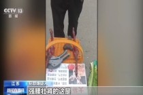 央视揭鹿茸骗局：谐音设局 强买强卖 犯罪团伙欺诈老人