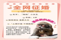 动物园帮绿狒狒全国征婚 寻觅优质伴侣