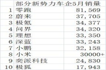 5月新势力销量TOP10 零跑领跑破8万