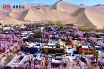 起猛了在中国沙漠看花海 敦煌一半沙漠一半花海太绝了