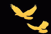 延华带你开启智慧城市探索之旅